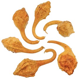 Calebasse déco spiky calabash