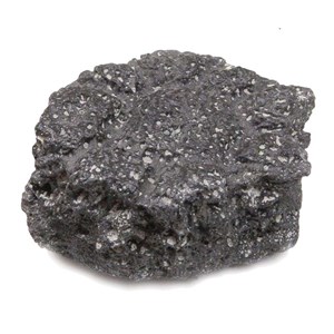 Fragment carapace glyptodon fossilisée