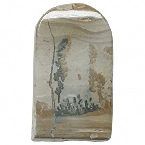 Tranche stromatolithe polie