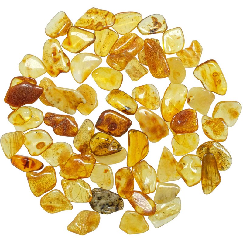Naturosphère - Pierres roulées ambre mer baltique