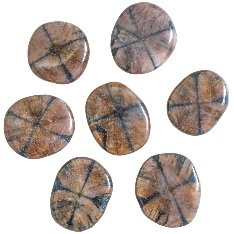 Galet plat chiastolite - a l'unité