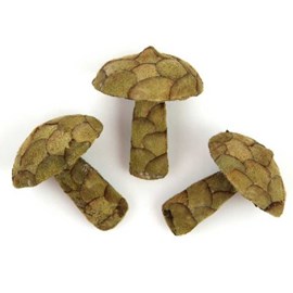 Champignons décoratifs fabriqués pana