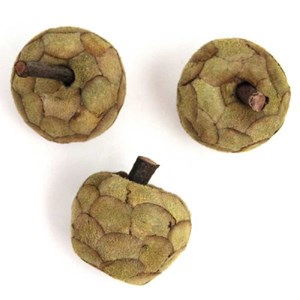 Pommes décoratives fabriqués pana