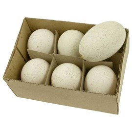 Boite de 6 oeufs de dinde décoratifs