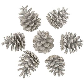 Pommes de pin blanchies - 1 kg