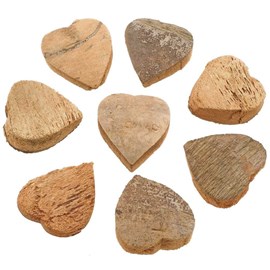Coeurs découpés noix coco