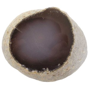 Agate à eau une face polie - 8 à 10 cm