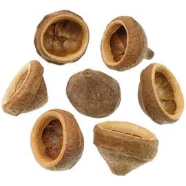 Chapeuzinho - 6 à 8 cm - lot de 5