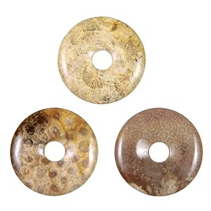 Donut corail fossilisé 4 cm