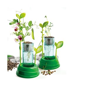 Botanique et hydroponie