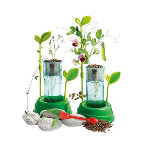 Botanique et hydroponie