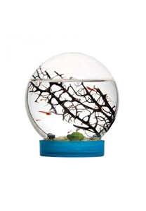 Bioglobe evivo ecosysteme marin