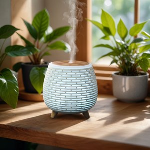 Diffuseur d'huile essentielle usb lina