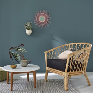 Fauteuil en rotin, coussin inclus