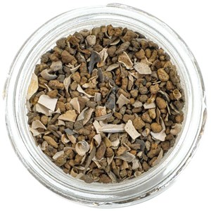 Microfossiles lit forestier cromer