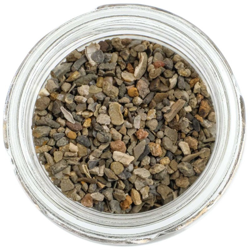 Microfossiles argile d'oxford - 1 à 2 mm