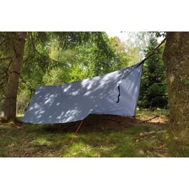 Tarp bee dry