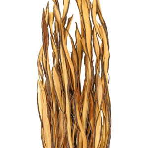 Fagot d'herbe fire grass - 35 cm