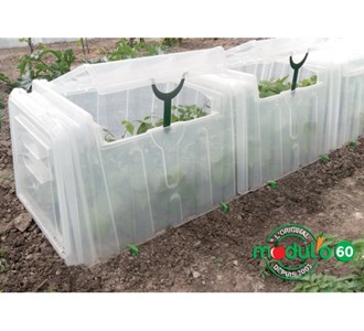 Mini serre tunel modul'o 60 (lot de 3)