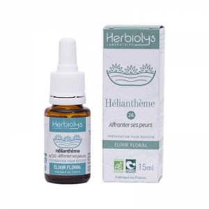 Hélianthème n°26