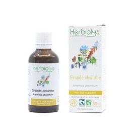 Teinture mère d'absinthe bio - digestion et transit