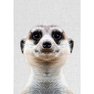Tableau metal suricate
