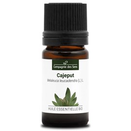 Cajeput (melaleuca leucadendra) - huile essentielle bio - 5ml garantie chromacer