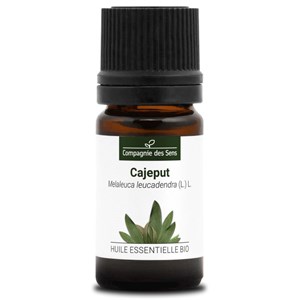 Cajeput (melaleuca leucadendra) - huile