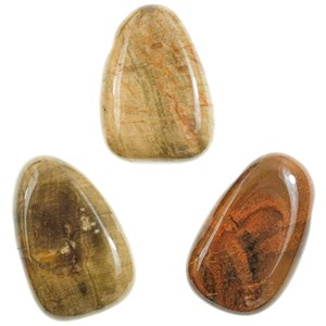 Pendentif goutte bois fossilisé
