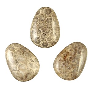 Pendentif goutte corail fossilisé