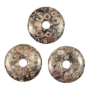Donut crinoïde fossilisée 4 cm