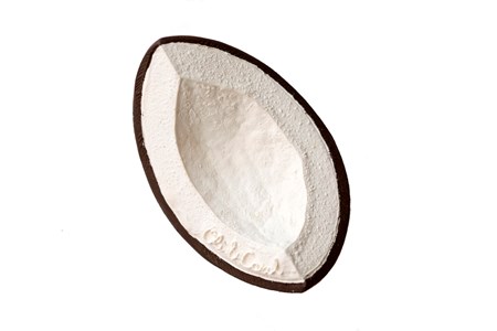 Jouet de dentition coco la noix de coco