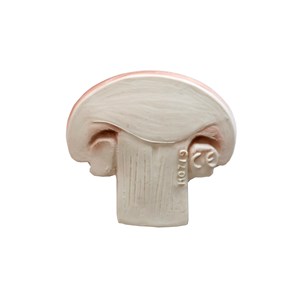 Jouet de dentition manolo le champignon