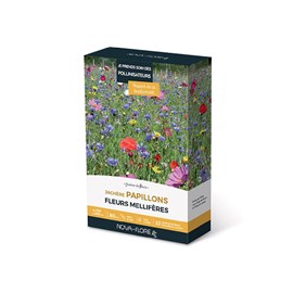 Prairies fleuries : jachère papillons