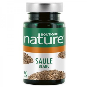 Saule blanc