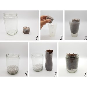 Cultivea - kit prêt à pousser (bleu)