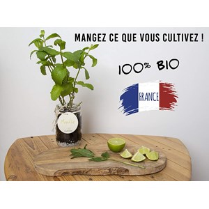 Cultivea - kit prêt à pousser (bleu)