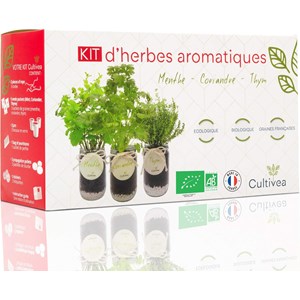 Kit herbes aromatiques bio