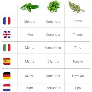 Kit herbes aromatiques bio