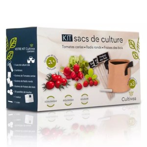 Kit 10 Bonsaïs à Planter – Coffret Complet Avec Graines, Pots