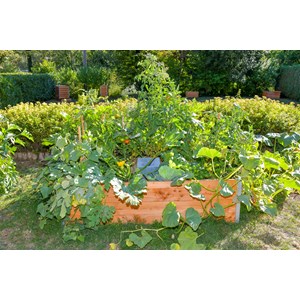 Keyhole garden modele medium 170x120cm