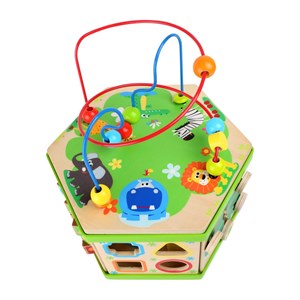 Hexagone d'activités safari