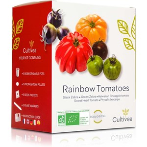 Kit tomates colorées bio