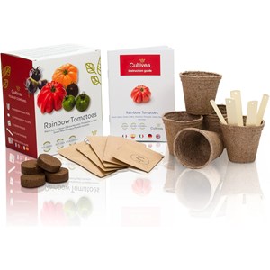 Kit tomates colorées bio