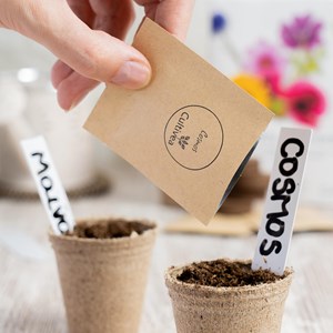 Kit culture fleurs comestibles bio