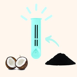 Deux filtres au charbon actif - menthe