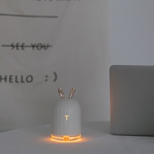 Diffuseur ultrasonique usb titi