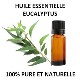 Huile essentielle d'eucalyptus - 10ml