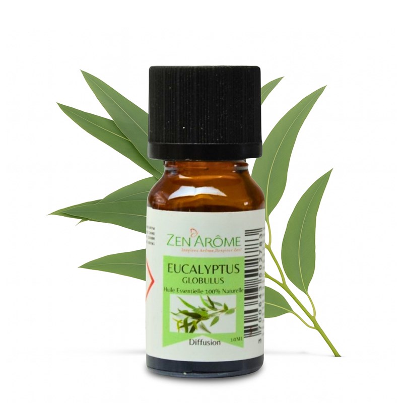 Huile essentielle d'eucalyptus - 10ml