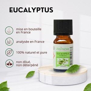 Huile essentielle d'eucalyptus - 10ml